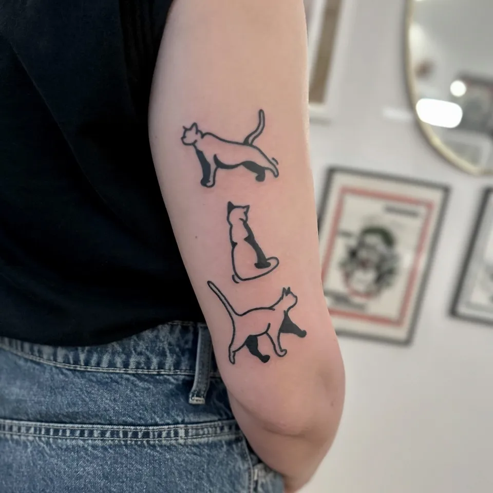 Tatuaż trzech kotów na przedramieniu w stylu grubego konturu — Tattoo, Wujek Darek Tattoo, Warszawa
